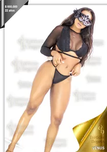 VENUS EROTICAS Traicionero girl
