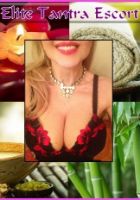 Italy D bust size escort - independent escort